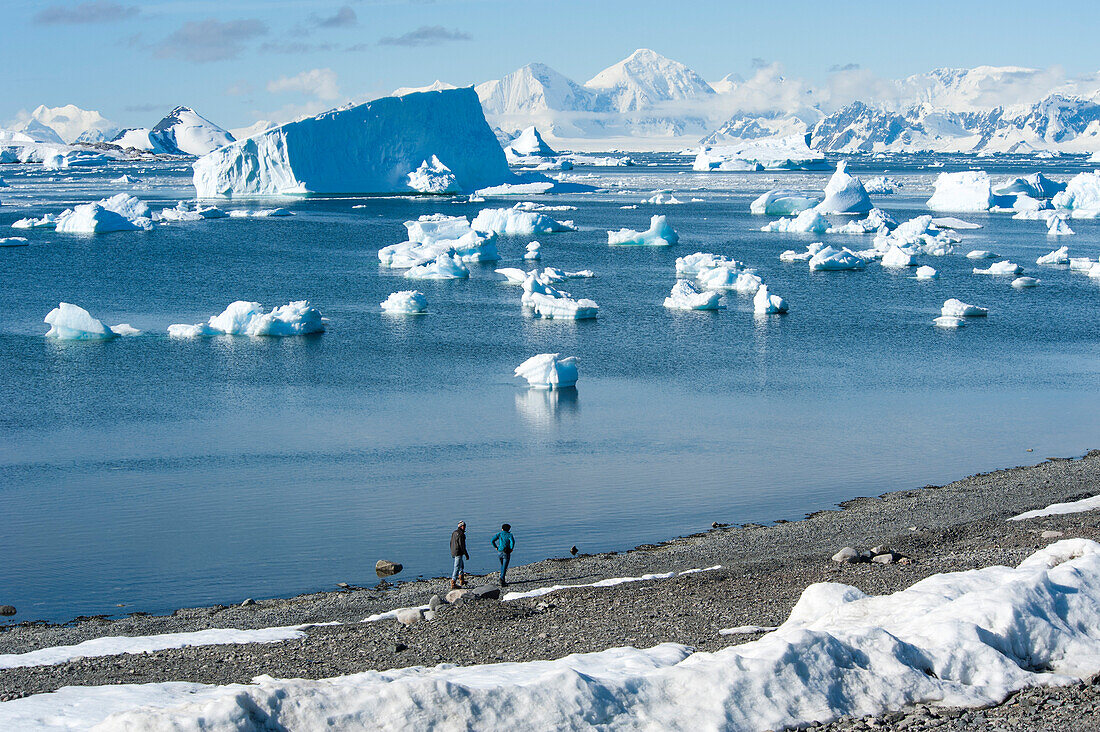 People walking along the rocky beach near Rothera Station with icebergs in the distance, Rothera Point, Adelaide Island, Antarctica