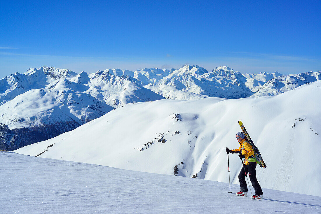 Female back-country skier ascending to Piz Kesch, Bernina Range in background, Engadin, Canton of Graubuenden, Switzerland