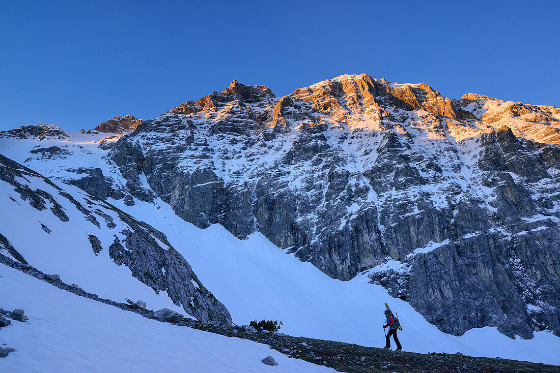 Female back-country skier ascending to Birkkarspitze at dawn, Karwendel range, Tyrol, Austria