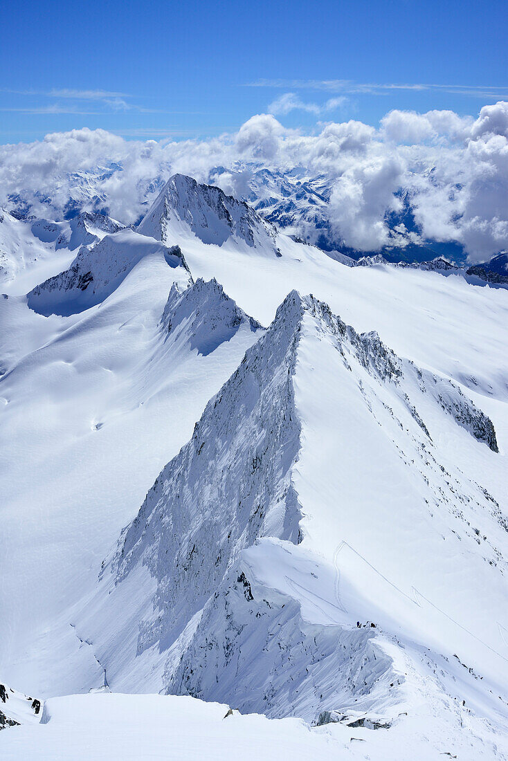 Schneegrate am Großen Möseler, Turnerkamp im Hintergrund, Zillertaler Alpen, Südtirol, Italien