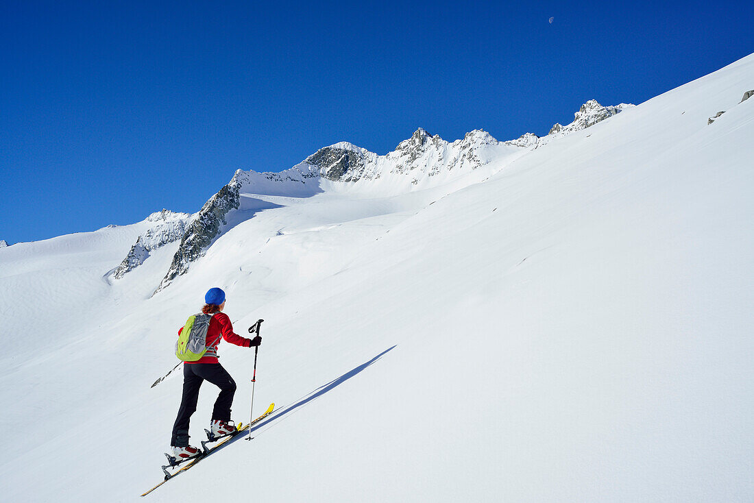 Female back-country skier ascending to Schlieferspitze, Venediger Group, High Tauern National Park, Salzburg, Austria