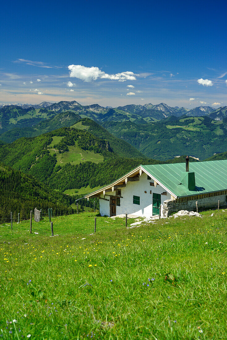 Alpine hut with Kranzhorn and Bavarian Alps in background, Spitzstein, Chiemgau Alps, Upper Bavaria, Bavaria, Germany