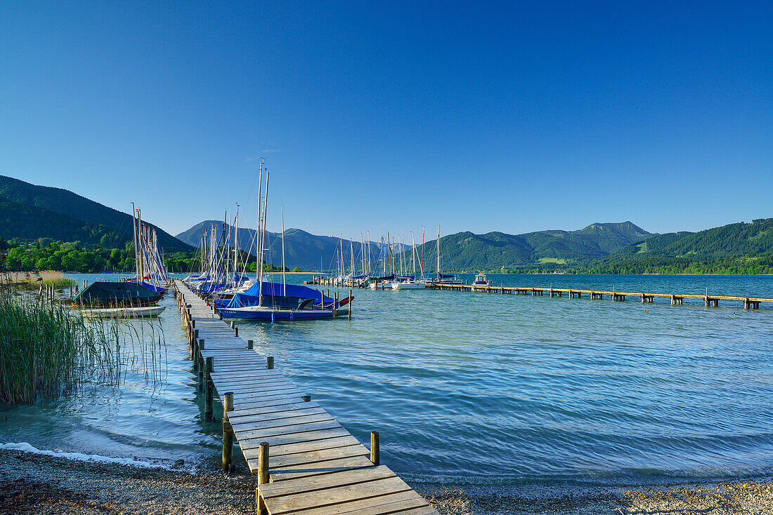 Bootssteg und Segelboote am Tegernsee, Bayerische Alpen, Oberbayern, Bayern, Deutschland