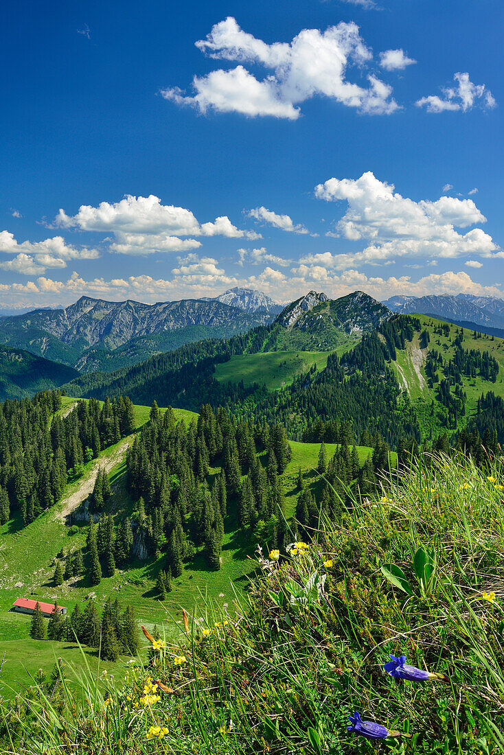 Mountain scenery with alp, Bavarian Prealps, Upper Bavaria, Bavaria, Germany