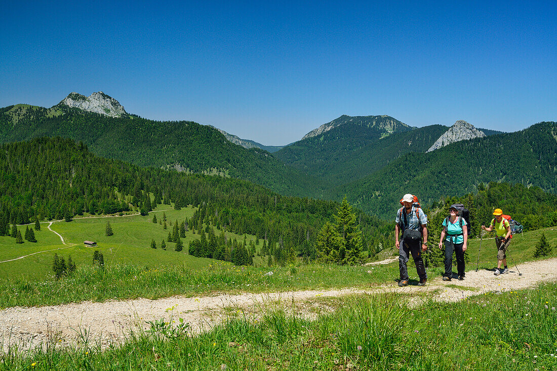 Three hikers ascending to Schildenstein, Bavarian Prealps, Upper Bavaria, Bavaria, Germany