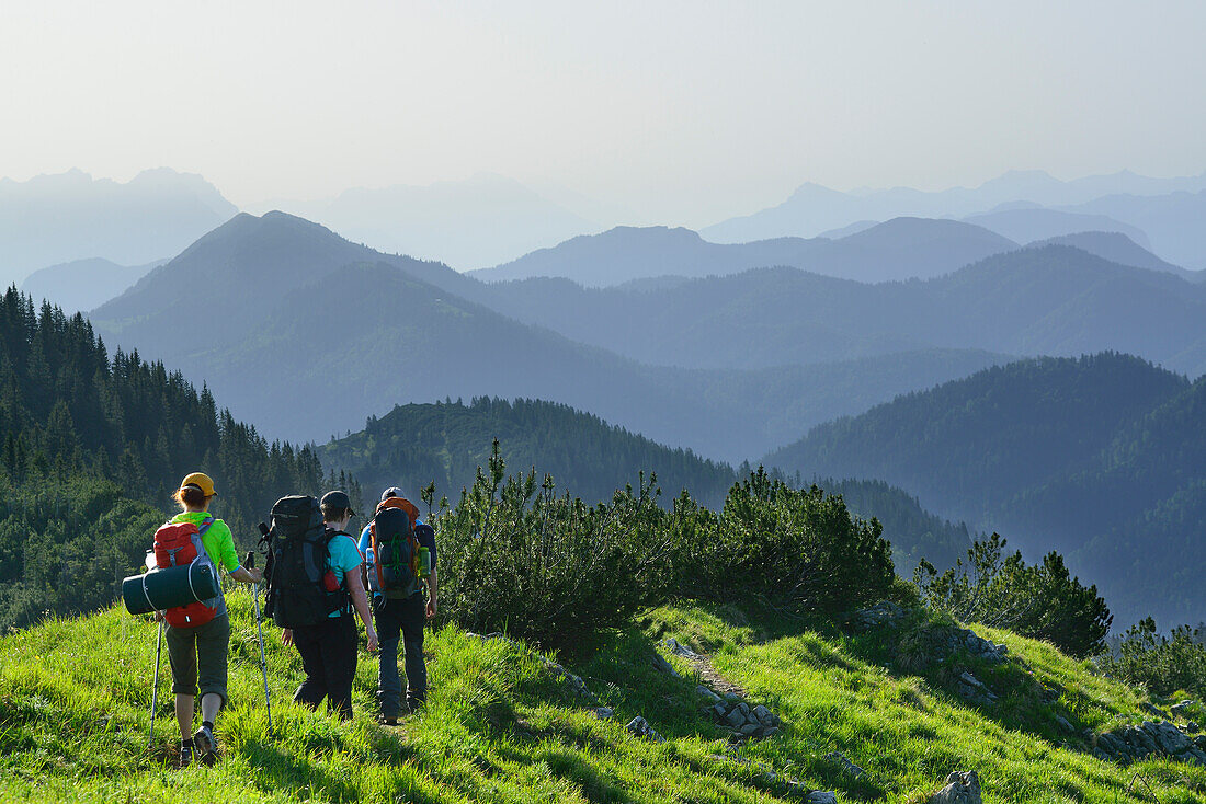 Drei Wanderer, Kaisergebirge und Rofan im Hintergrund, Blauberge, Bayerische Voralpen, Oberbayern, Bayern, Deutschland