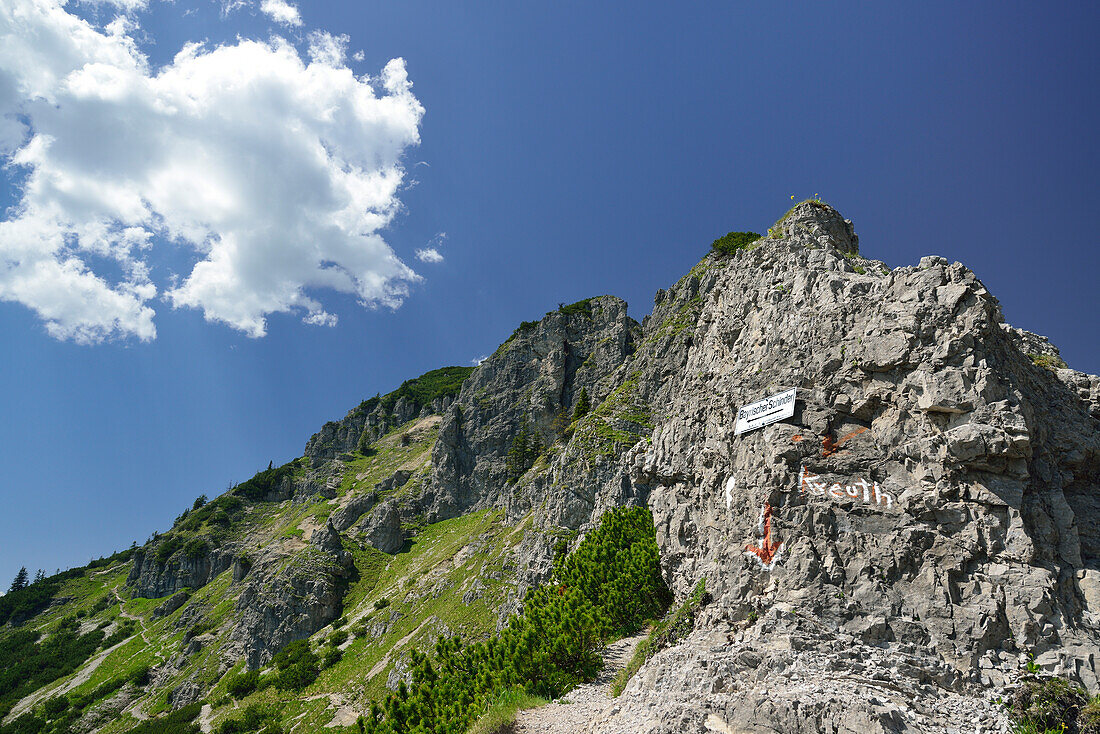 Rock ridge with signpost to Bavarian Schinder, Bavarian Prealps, Upper Bavaria, Bavaria, Germany
