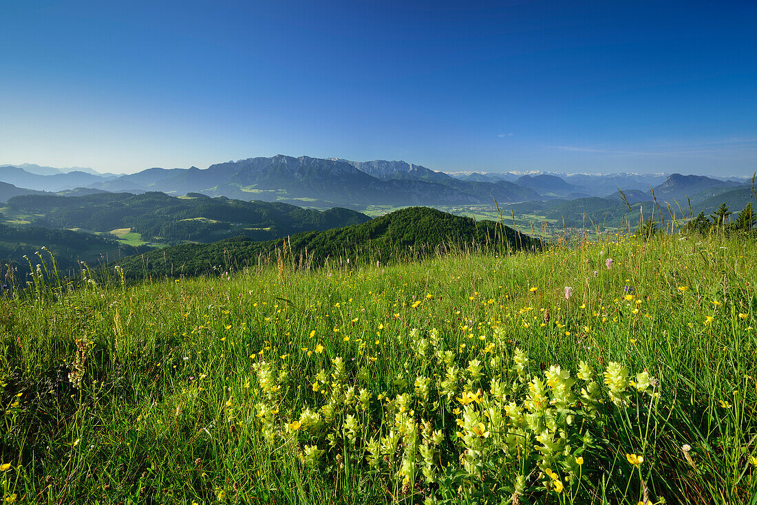 View from Kranzhorn over Inn valley to mountain scenery, Chiemgau Alps, Tyrol, Austria