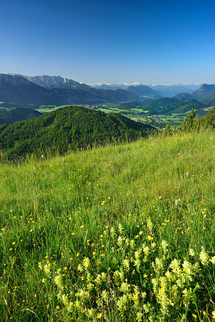 Blick vom Kranhorn auf Kaisergebirge, Inntal und Zillertaler Alpen, Chiemgauer Alpen, Tirol, Österreich