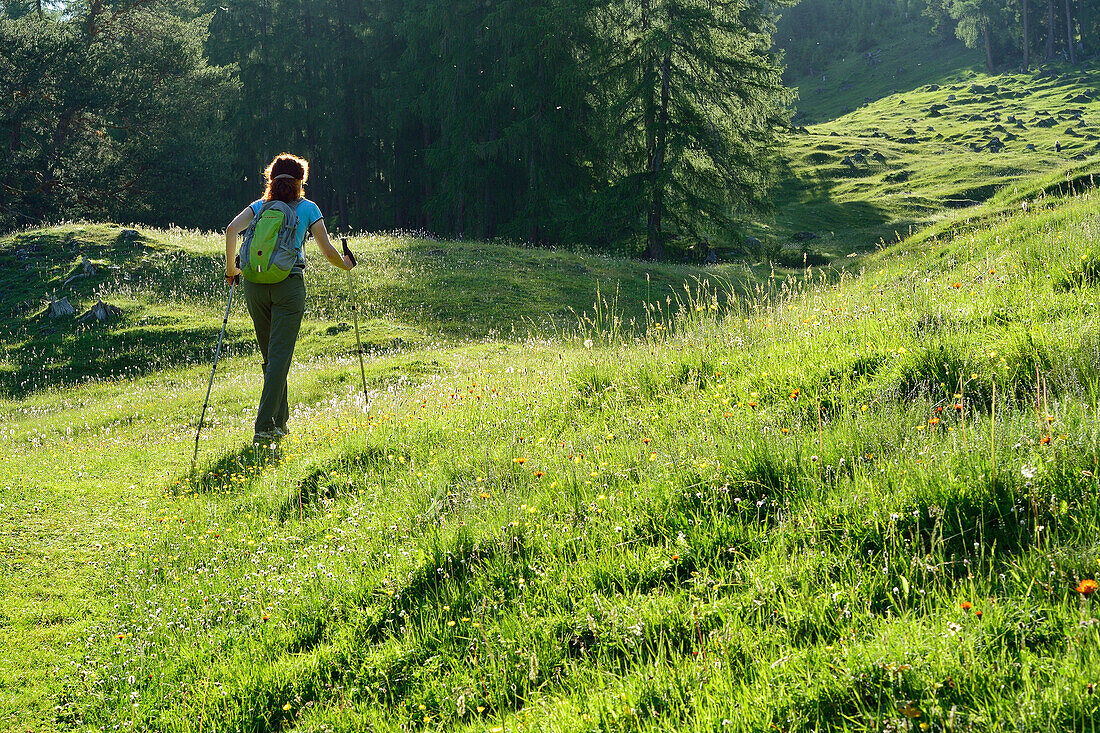 Woman hiking over a meadow, Karroester Alm, Tschirgant, Mieming Range, Tyrol, Austria