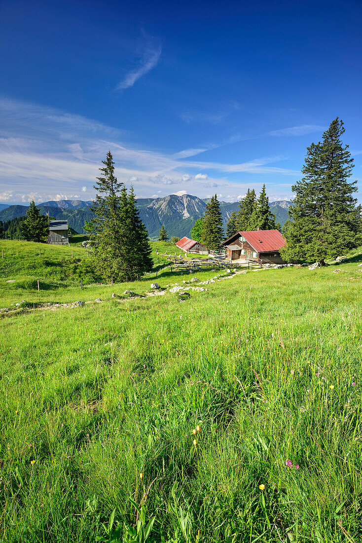 Hubertushütte mit Hochmiesing und Spitzinggebiet im Hintergrund, Breitenstein, Mangfallgebirge, Bayerische Voralpen, Oberbayern, Bayern, Deutschland