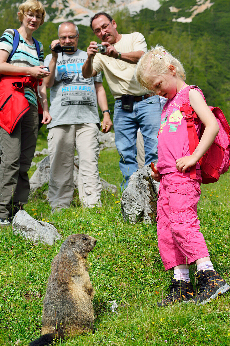 Girl standing near a marmot, Bachlalm, Dachstein Mountains, Styria, Austria