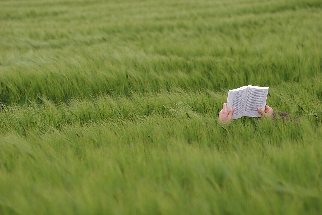 A man lying in a field holding an open book in his hands and reading, Bad Wildungen, Hesse, Germany, Europe
