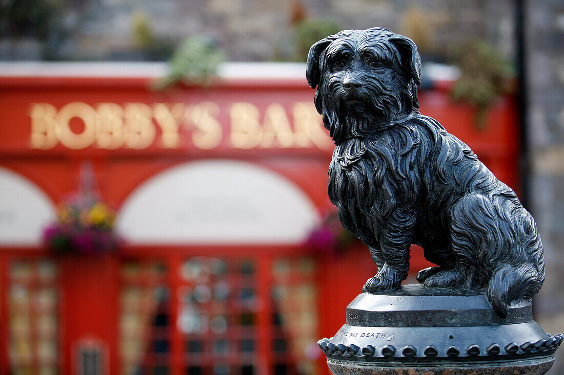 Statue of Greyfriars Bobby, a Skye Terrier, sitting in front of Bobby's Bar, Edinburgh, Scotland, United Kingdom, Europe
