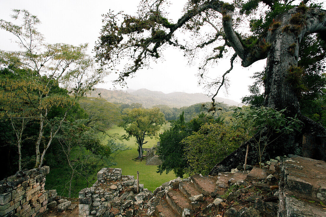 Blick von einer der Pyramiden über das Gelände von Copan, Copan, San Jose de Copan, Honduras, Yucatan Halbinsel, Mittelamerika