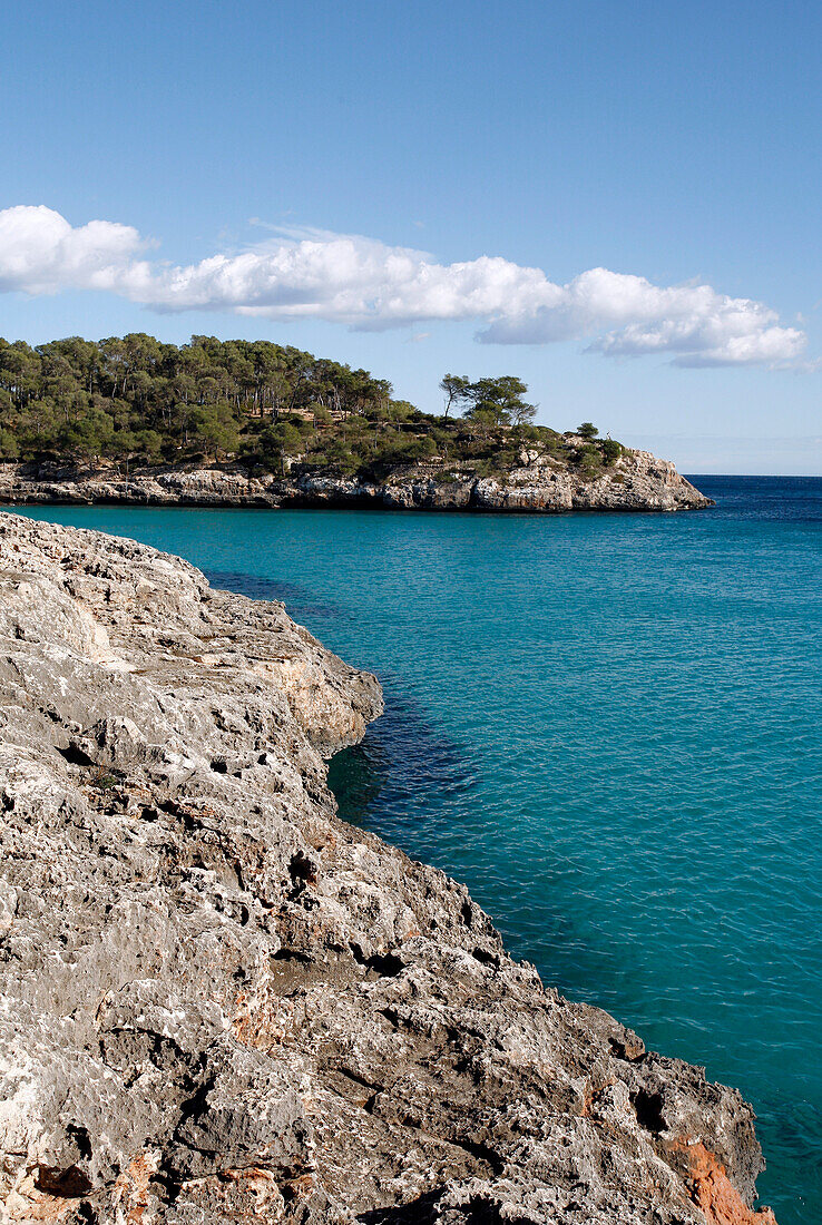 Rocky coastline of Cala Mondrago bay in Parc Natural de Mondrago, near Portopetro, Mallorca, Balearic Islands, Spain