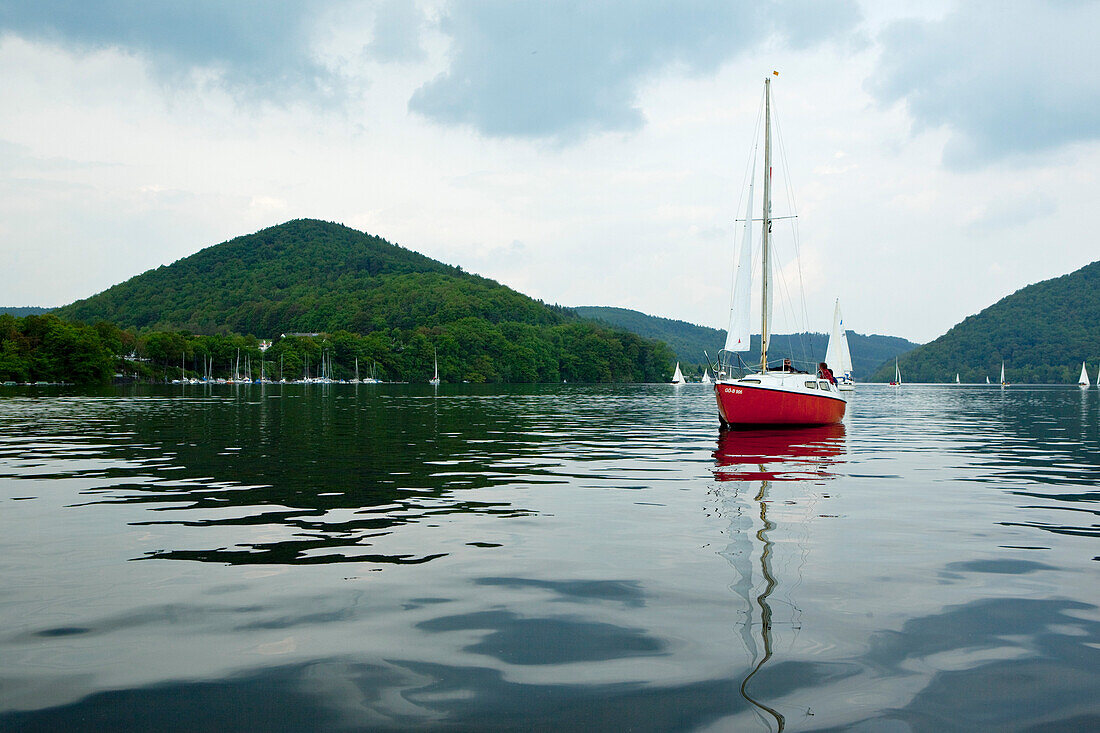 Ein Segelboot auf dem Edersee im Nationalpark Kellerwald-Edersee, Rehbach, Nordhessen, Hessen, Deutschland, Europa