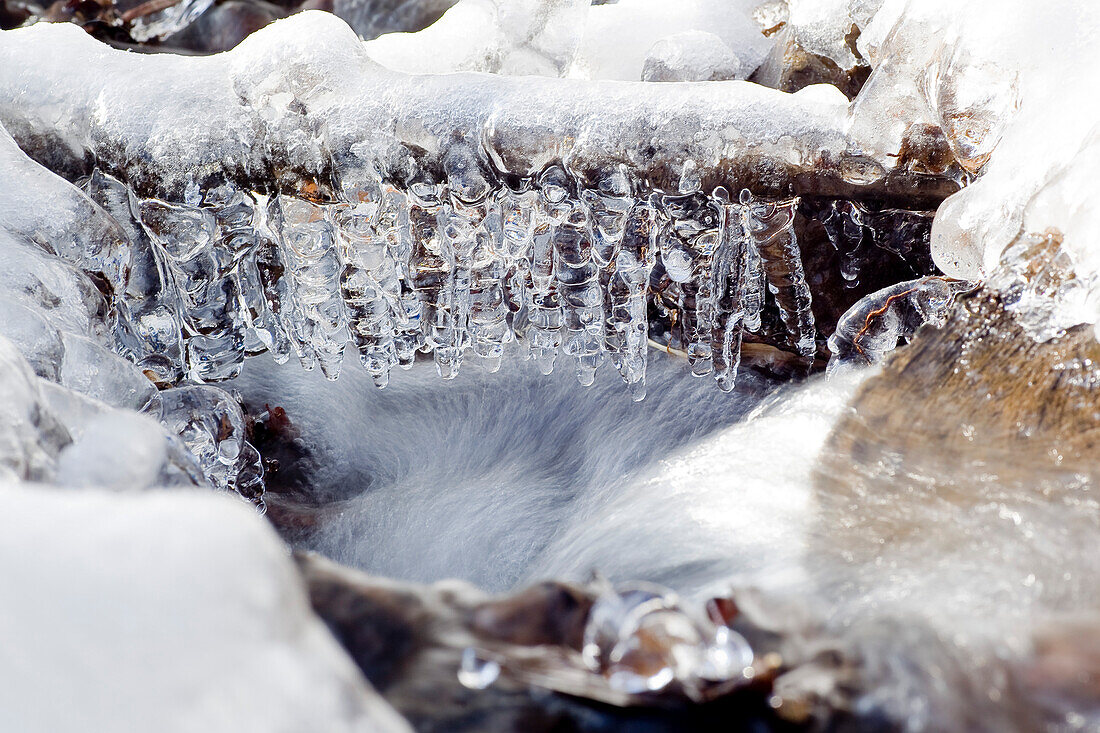 Ast mit Eiszapfen an einem kleinen Bachlauf an der Bärenmühle im Lengeltal im Nationalpark Kellerwald-Edersee, Frankenau, Nordhessen, Hessen, Deutschland, Europa