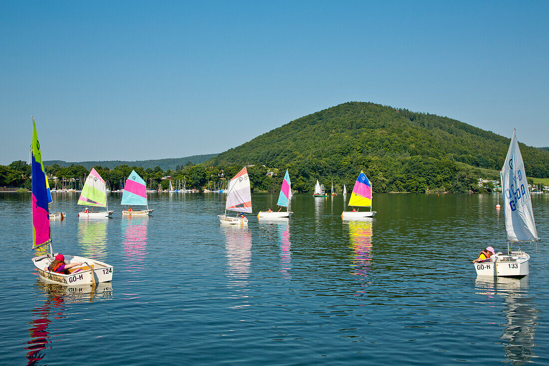 Colourful sails of sailing boats of a sailing school on Lake Edersee in Kellerwald-Edersee National Park, Lake Edersee, Hesse, Germany, Europe