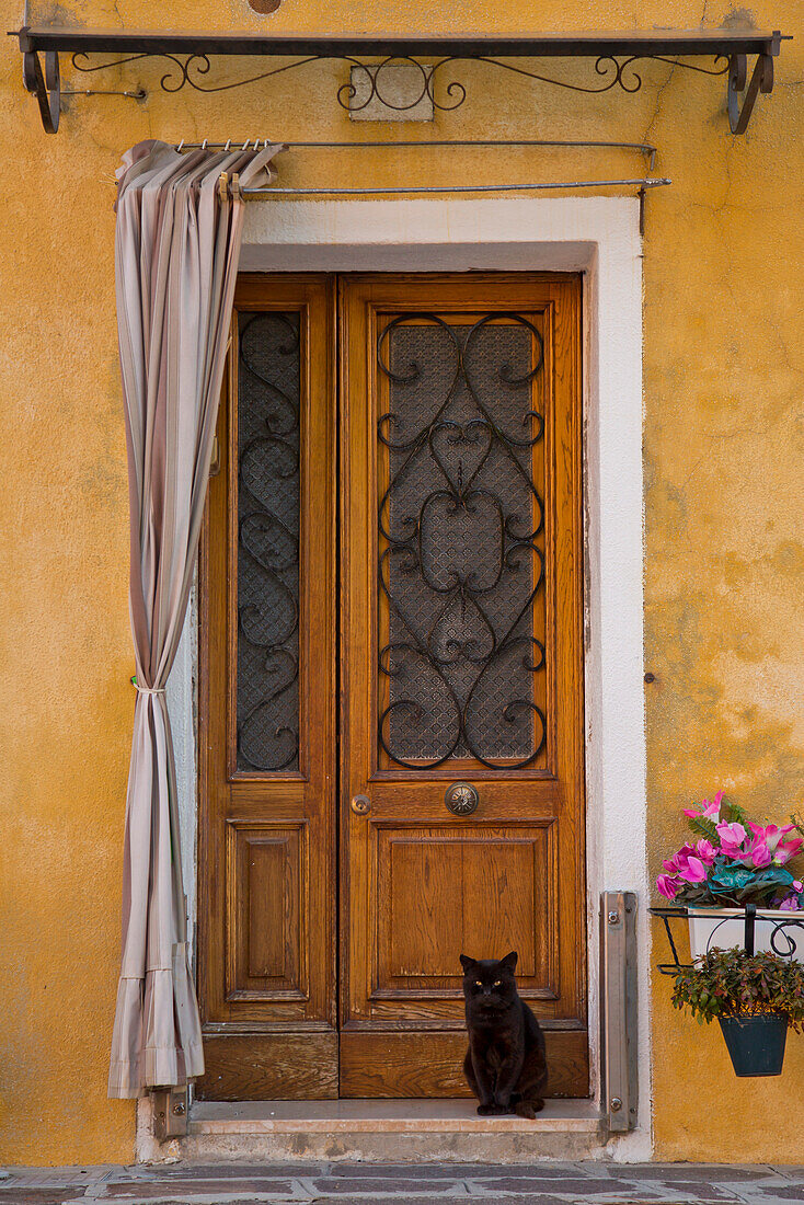 Black cat in the doorway, Burano, near Venice, Veneto, Italy, Europe