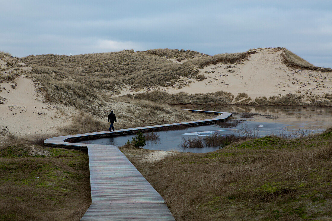Dune landscape with winding boardwalk with a single person walking over it on a cloudy winter day, Amrum island, Schleswig-Holstein, Germany, Europe