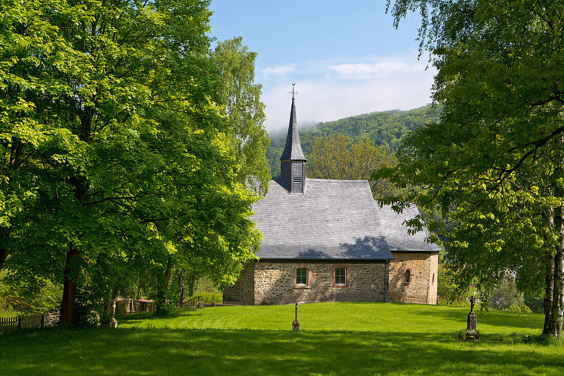 Frühgotische Kirche von Frebershausen mit altem Friedhof und großen, grün belaubten Bäumen im Nationalpark Kellerwald-Edersee, Frebershausen, Nordhessen, Hessen, Deutschland, Europa