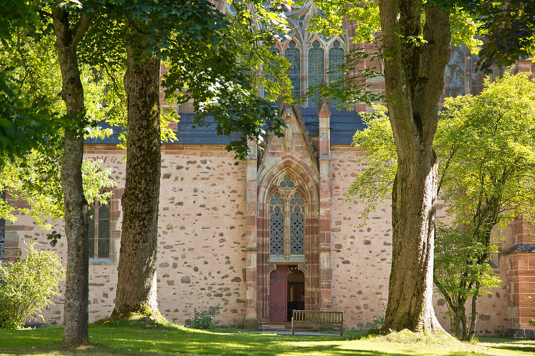 Zwei große Bäume säumen den Eingang zur Kirche vom Kloster Haina, Haina, Nordhessen, Hessen, Deutschland, Europa