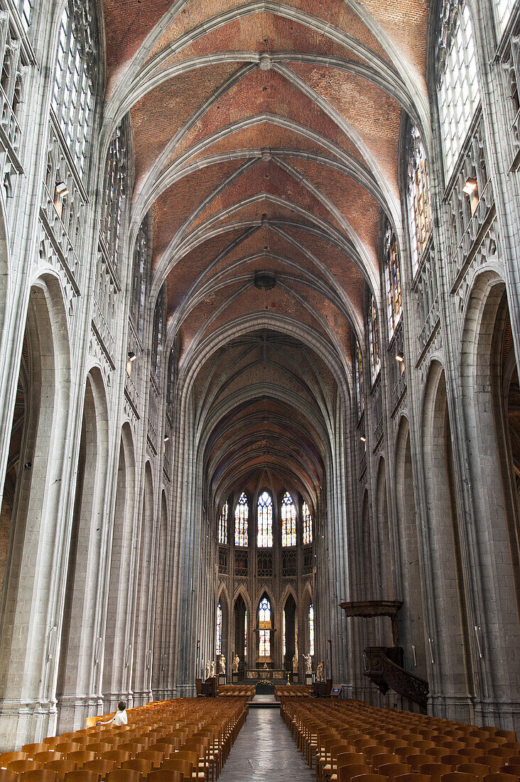 Stiftskirche St. Waltrudis, Sainte-Waudru, Inneres, Mons, Hennegau, Wallonie, Belgien, Europa