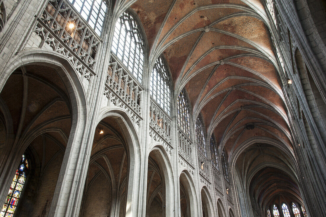 interior view of abbey church Saint Waltrude, Sainte-Waudru, Mons, Hennegau, Wallonie, Belgium, Europe
