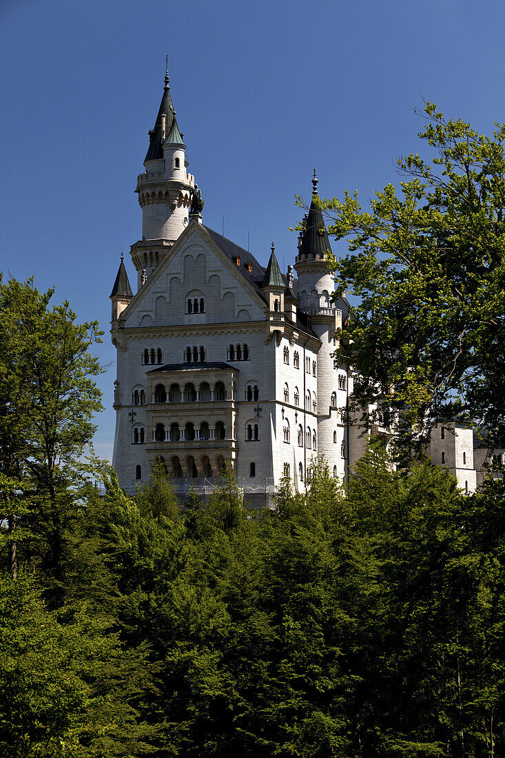 Schloss Neuschwanstein, Hohenschwangau, Bayern, Deutschland, Europa