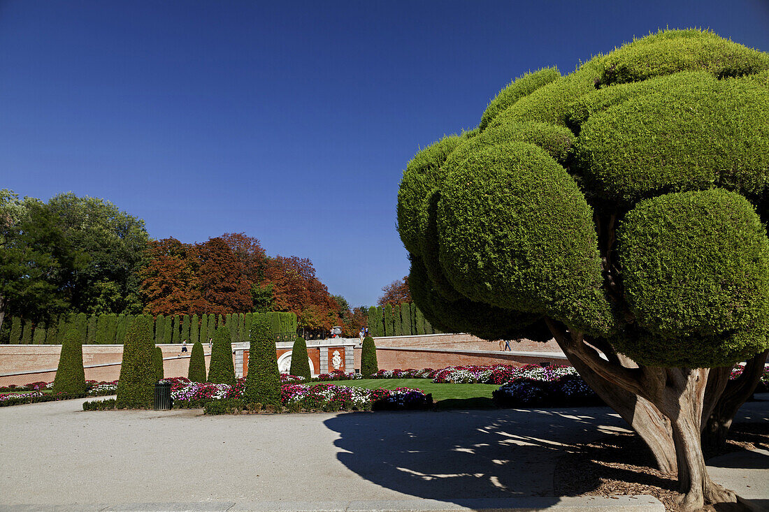 In the Retiro Park, Parque del Retiro, Madrid, Spain