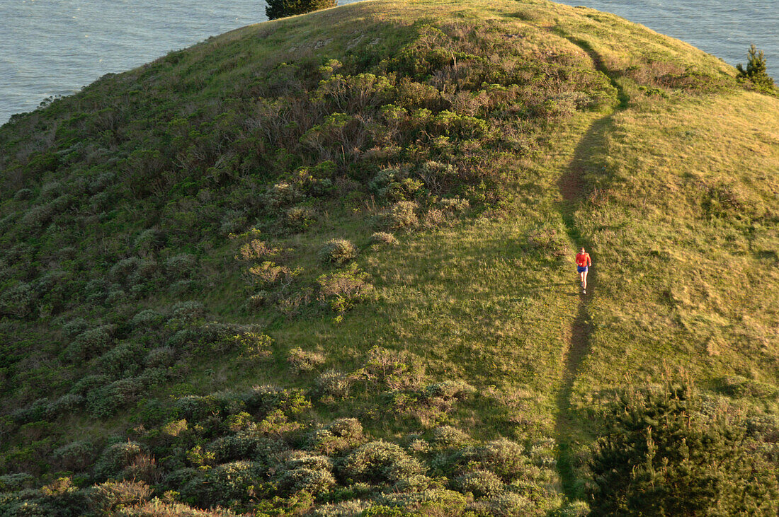 A woman running on a trail through Golden Gate Park near San Francisco with the entrance to the Golden Gate behind. San Francisco, California, USA.  Lars Schneider / Aurora Photos 