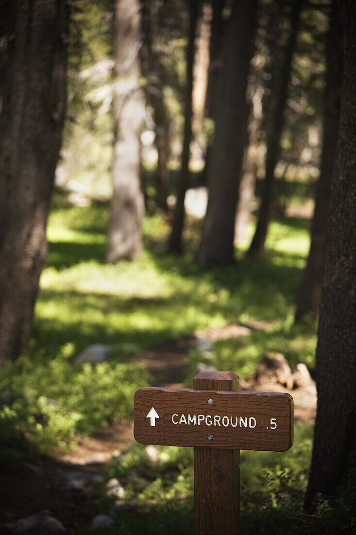 High angle view of a sign along a trail indicating that the campground is .5 miles ahead.  Ron Koeberer / Aurora Photos 