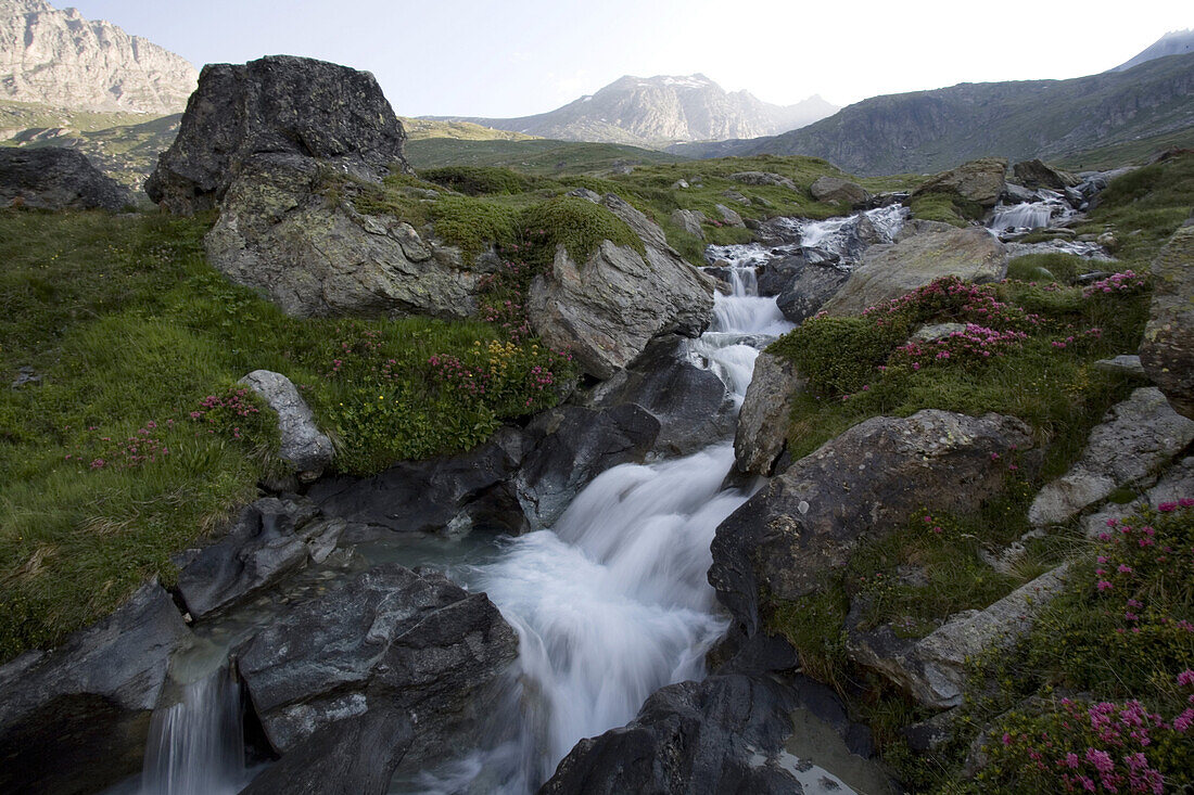 A mountain stream in the Vanoise National Park, the first national park of France, along the spine of the Haute Alpes, or High Alps, in the Savoie region of France.