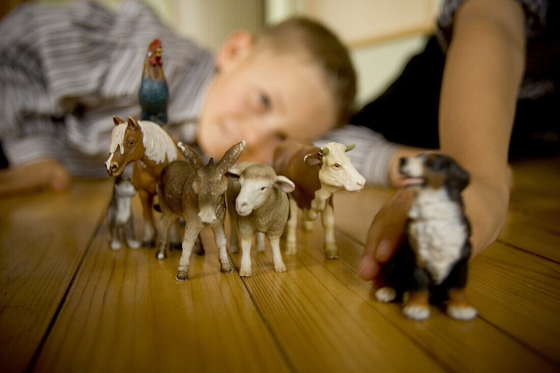 A young boy plays with farm toys at his home in the small Bavarian village of Lenggries.  The children are exposed to cattle and the barn every day as they help with small chores on the farm which has been in Jakob's family since 1773, at least 9 generati