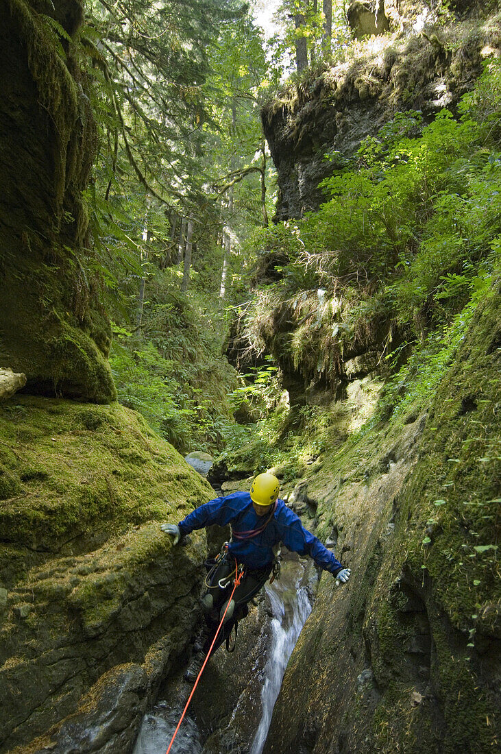 Davis Creek, South of Mount Rainier, WA. Canyoning is a new sport that consists in travelling down river canyons by walking, gliding, climbing, rappelling abseiling, swimming or jumping. Rob Cobb stems down a slippery section of the Davis Creek canyon.