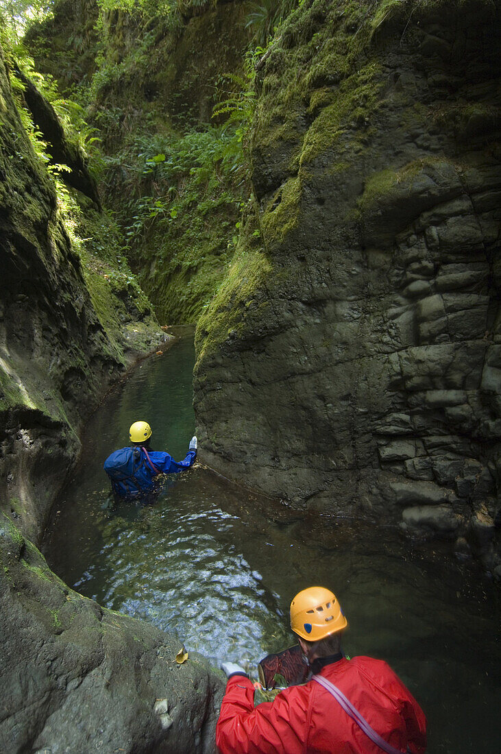 Davis Creek, South of Mount Rainier, WA. Canyoning is a new sport that consists in travelling down river canyons by walking, gliding, climbing, rappelling abseiling, swimming or jumping. Rob Cobb blue, and Joe Budgen red, wade down a wet section of Davis 