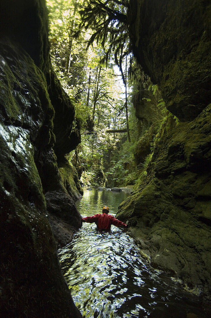 Davis Creek, South of Mount Rainier, WA. Canyoning is a new sport that consists in travelling down river canyons by walking, gliding, climbing, rappelling abseiling, swimming or jumping. Joe Budgen wades down a wet section of Davis Creek canyon.