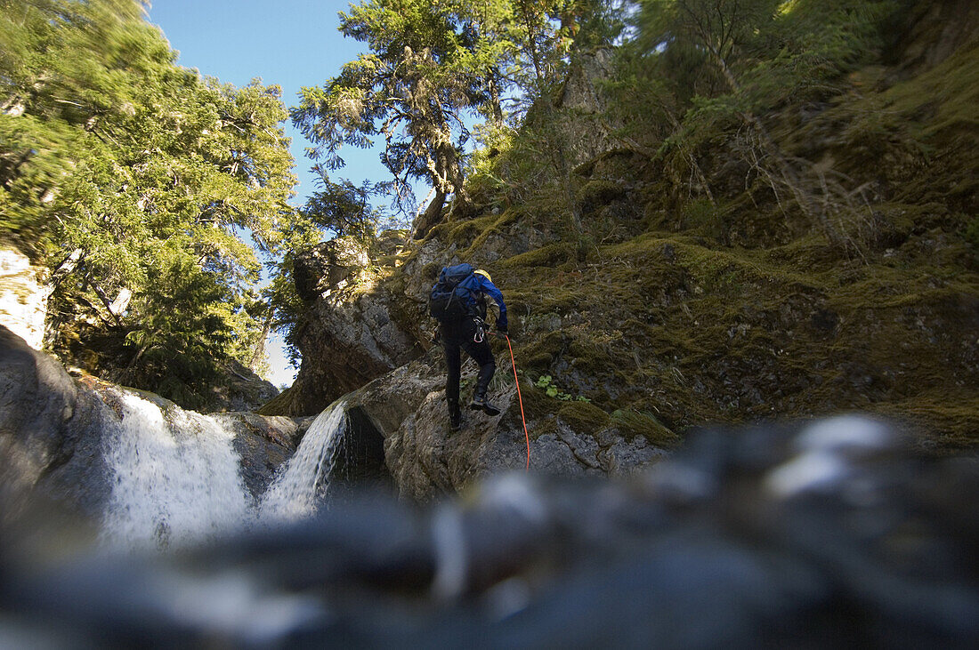 Canyoning is a new sport that consists in travelling down river canyons by walking, gliding, climbing, rappelling abseiling, swimming or jumping. Rob Cobb rappels abseils, down a small drop in Summit Creek canyon, Summit Creek, Gifford Pinchot National Fo