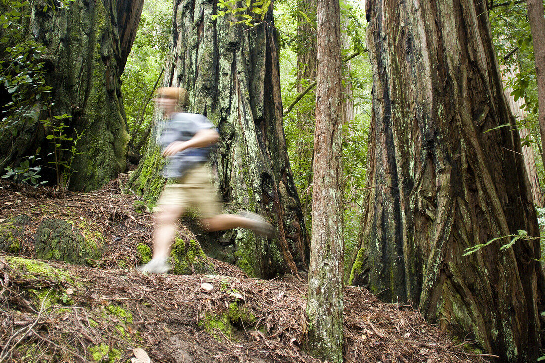 Young man trail running in Big Basin State Park, California.