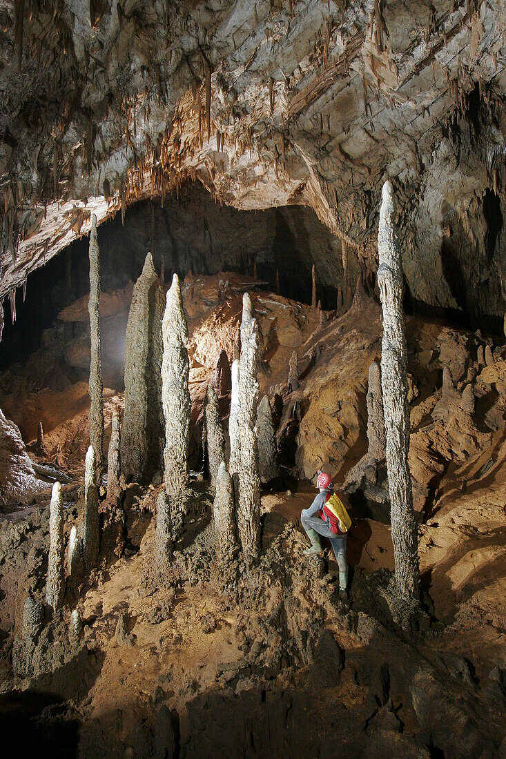 Large impressive Stalagmite formations in a cave called Whiterock part of the giant Clearwater Cave System, in Mulu National Park
