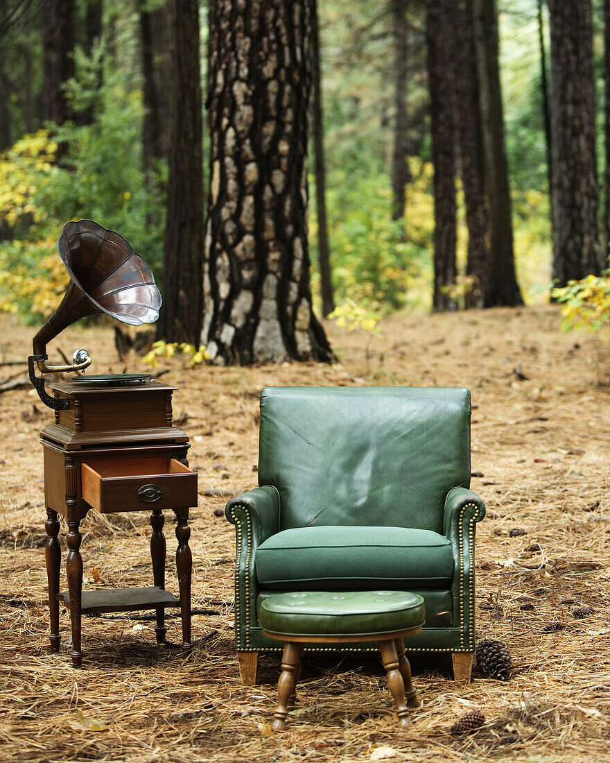 A old green leather chair, a stool, and a gramophone in the woods.