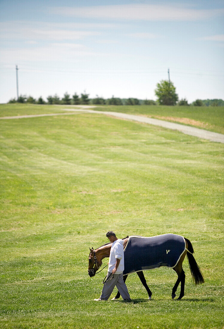 Hot walker Ricardo Orozco walks with Kentucky Derby winner Barbaro at the Fair Hill Training Center in Elkton, Md., on Wednesday, May 10, 2006.