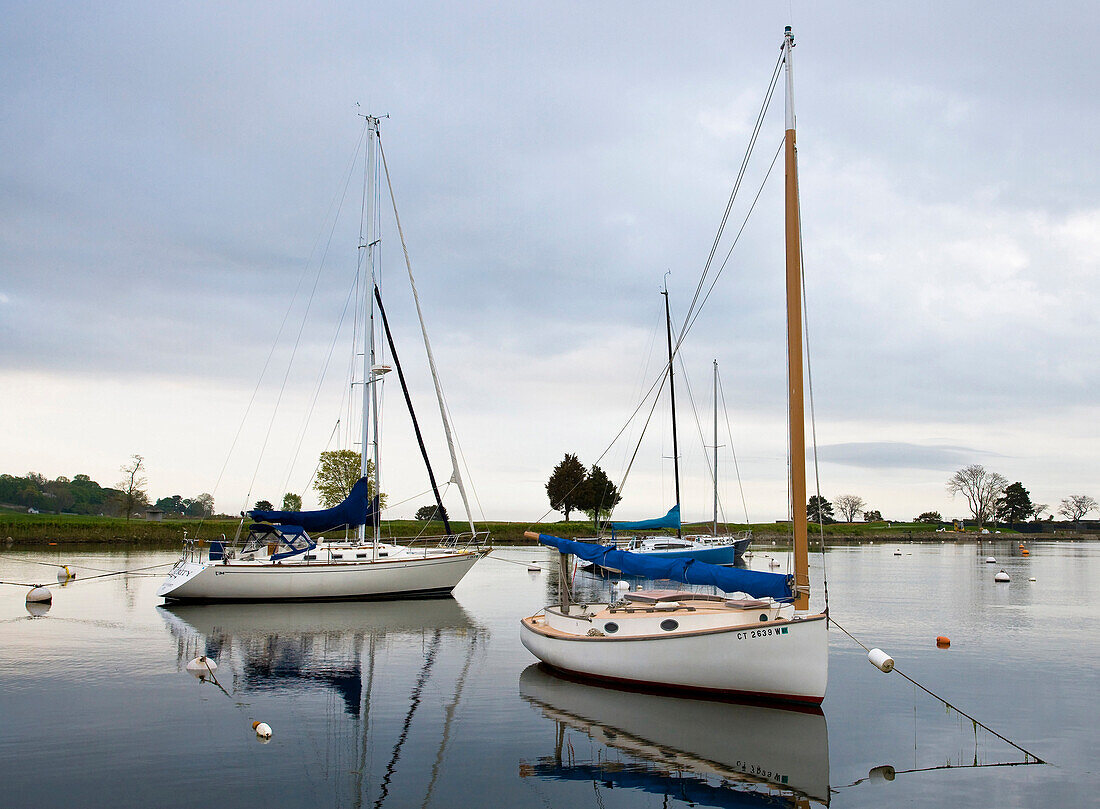 Southport Harbor in Southport, CT is home to numerous sail boats. The golf course of the Country Club of Fairfield is on th efar shore.