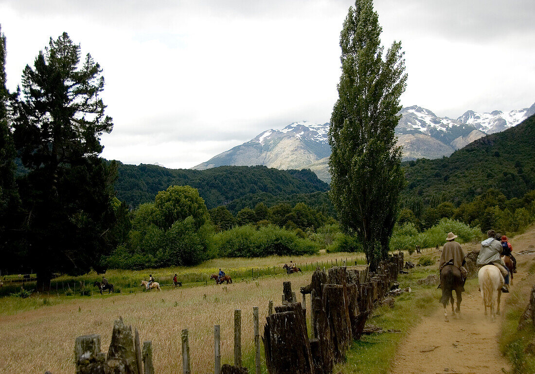 A group of people ride horses on a dirt path in Futaleufu, Chile.