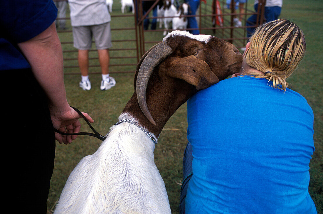 A young woman gets a kiss from a friendly Boer goat at the Millington International Goat Days Family Festival, Millington Tennessee.