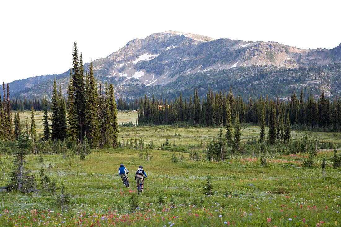 Sol Mountain, BC - Kate Watters and Eli Watson mountain bike across alpine meadow while flowers in bloom at Sol Mountain Touring's backcountry lodge in the Southern Monashee range of the Columbia Mountains of South Central British Columbia.