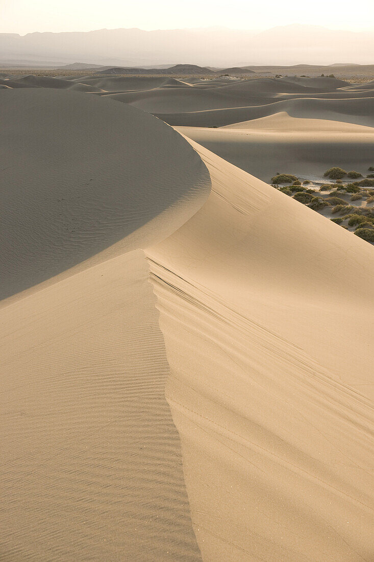 Sand dunes, Death Valley, California.