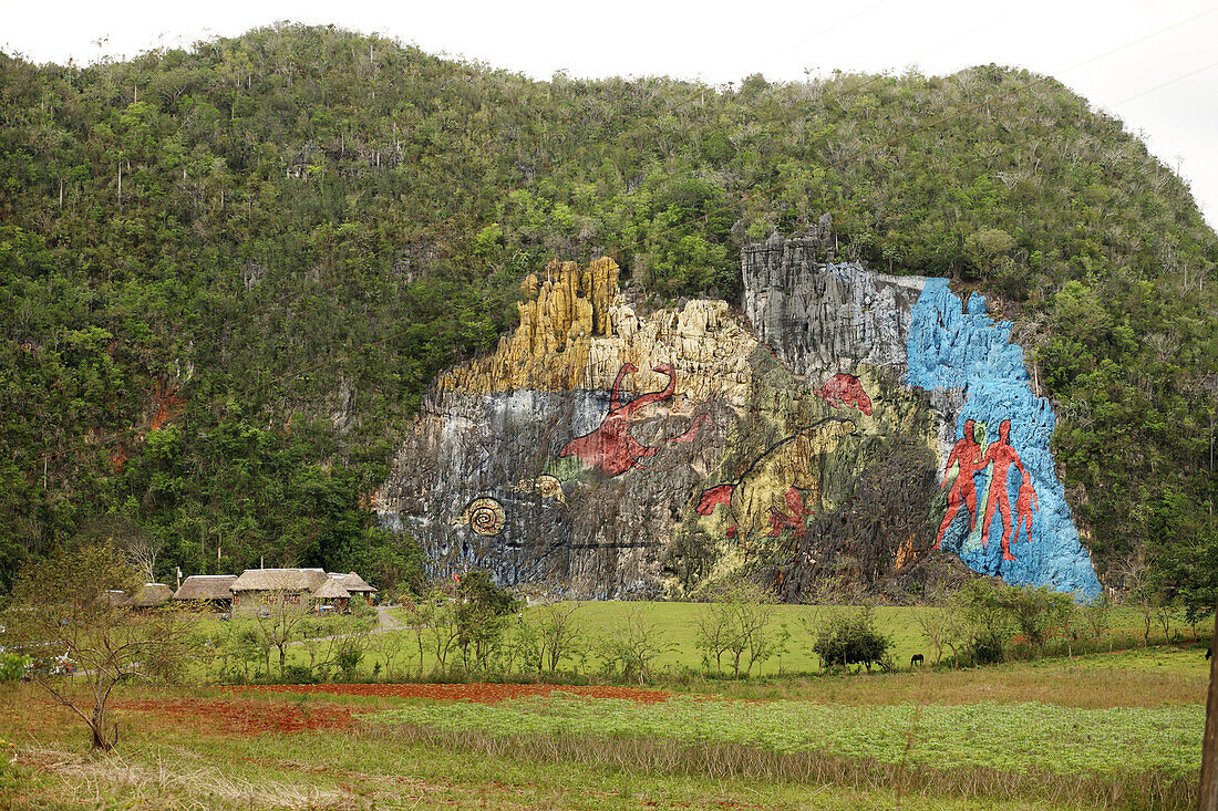 'The Mural de la Prehistoria Prehistoric Mural, in the Vinales Valley, in the Pinar del Rio Province of Cuba. Painted by artist Leovigildo Gonzalez Morillo, this massive mural lacks the style and weight of the works of his mentor, Diego Rivera. The Vinale
