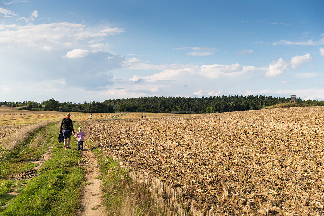Mutter und Sohn wandern über Stoppelfeld zum Aussichtspunkt Schwarzer Berg, Biosphärenreservat Schorfheide-Chorin, Gerswalde, Uckermark, Brandenburg, Deutschland